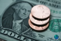 Close-up of U.S. dollar bills and coins representing the challenges of living on minimum wage.