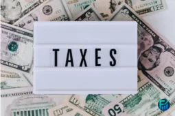 Lightbox displaying the word taxes on top of US dollar bills, representing financial planning and the concept of Tax Deductions Standard.